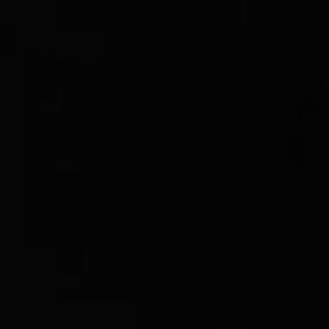 Meet your Posher, Rylee